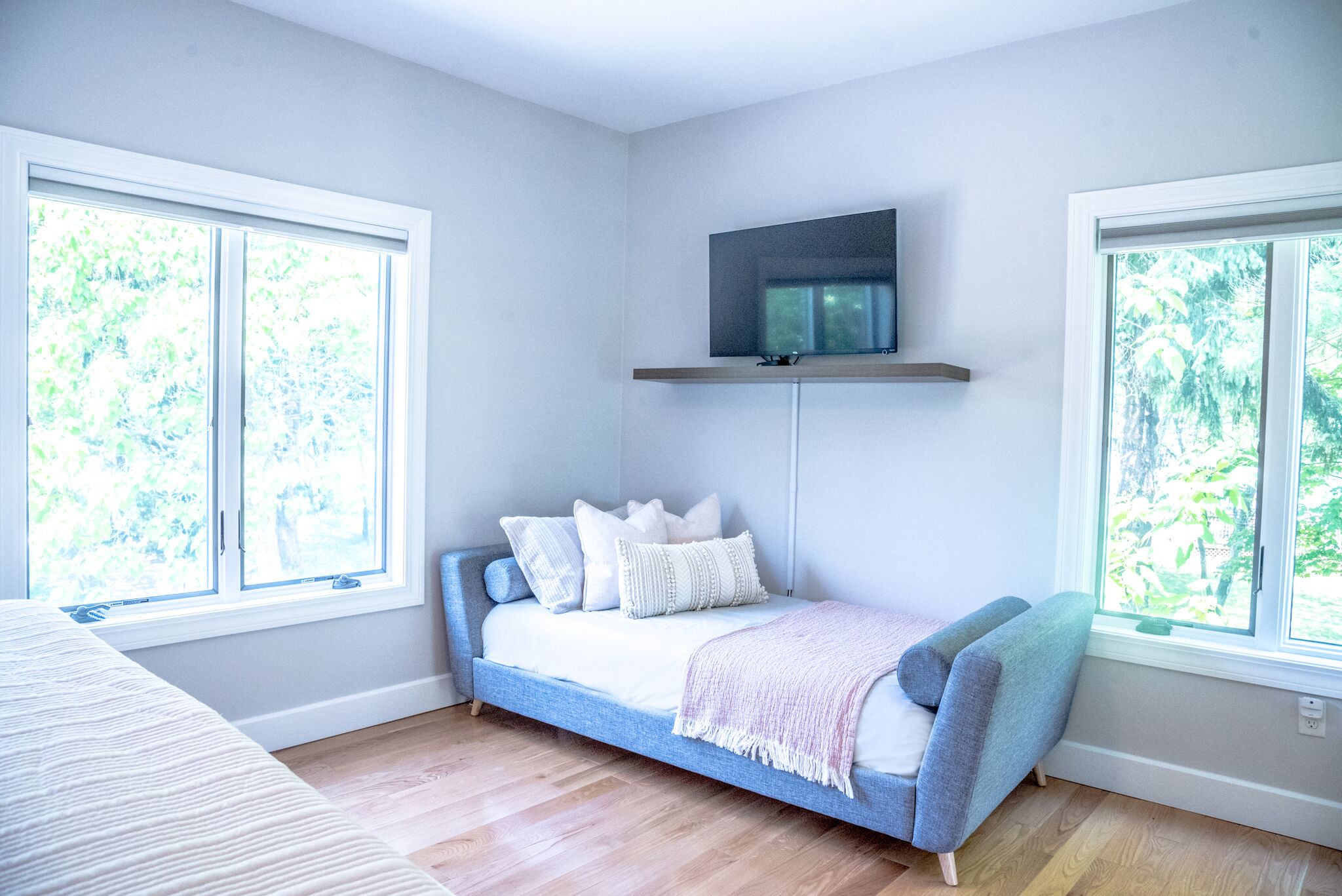 Sleeper Sofa and Connected Smart TV